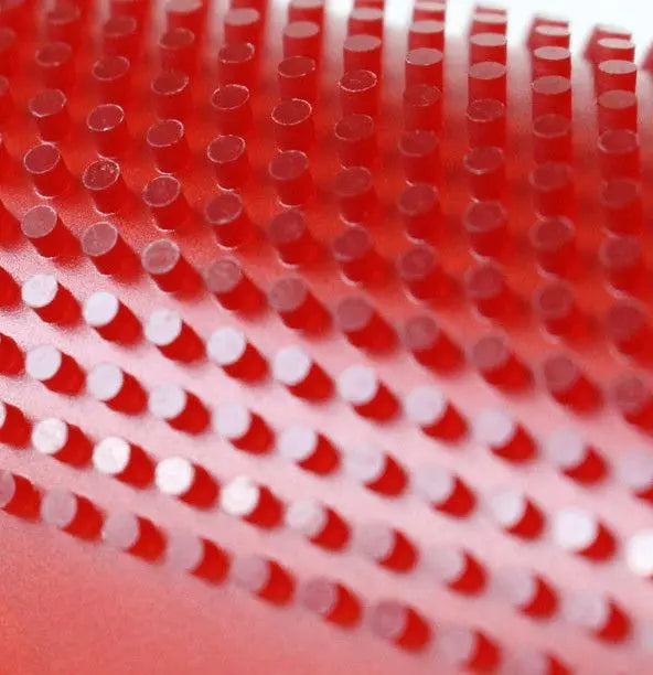 SpinLord Dornenglanz SpinLord SE - tabletennisstore.eu